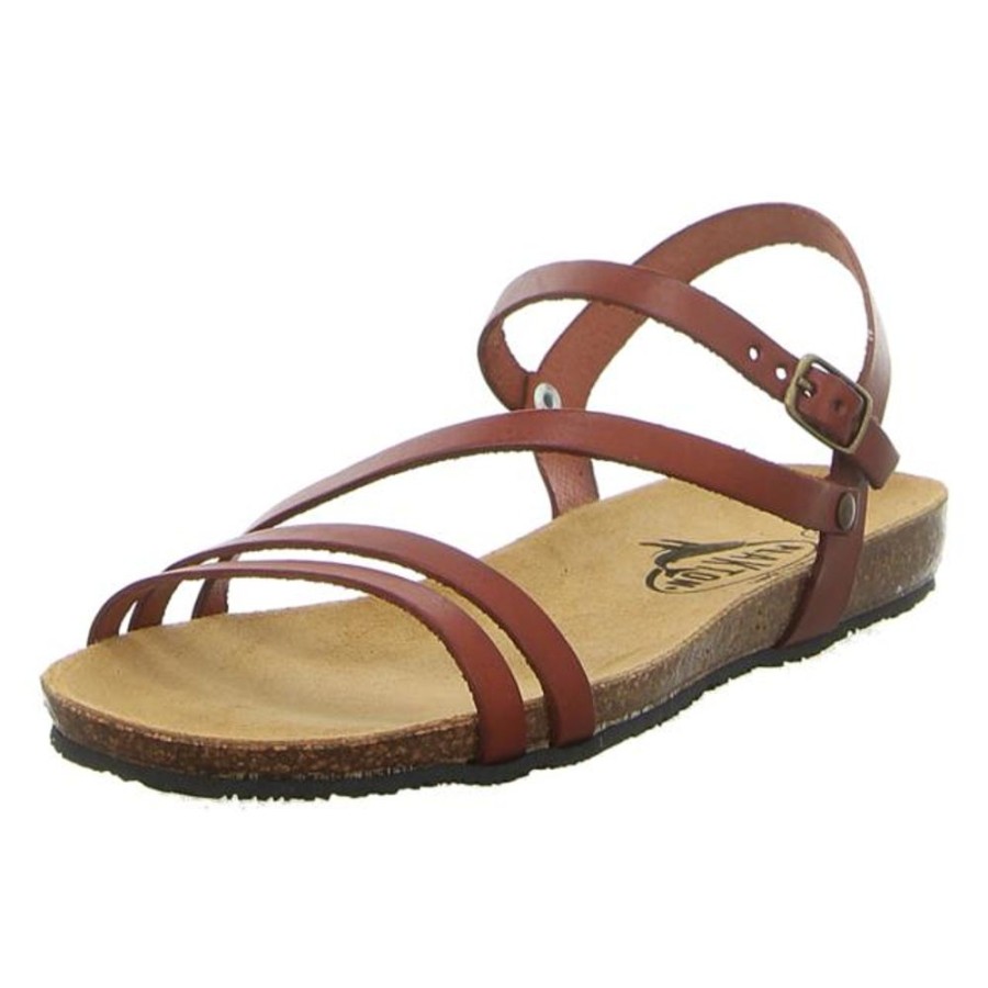 Damen Plakton Sandaletten | Plakton - Sandalen - Mam Vita - Cuero